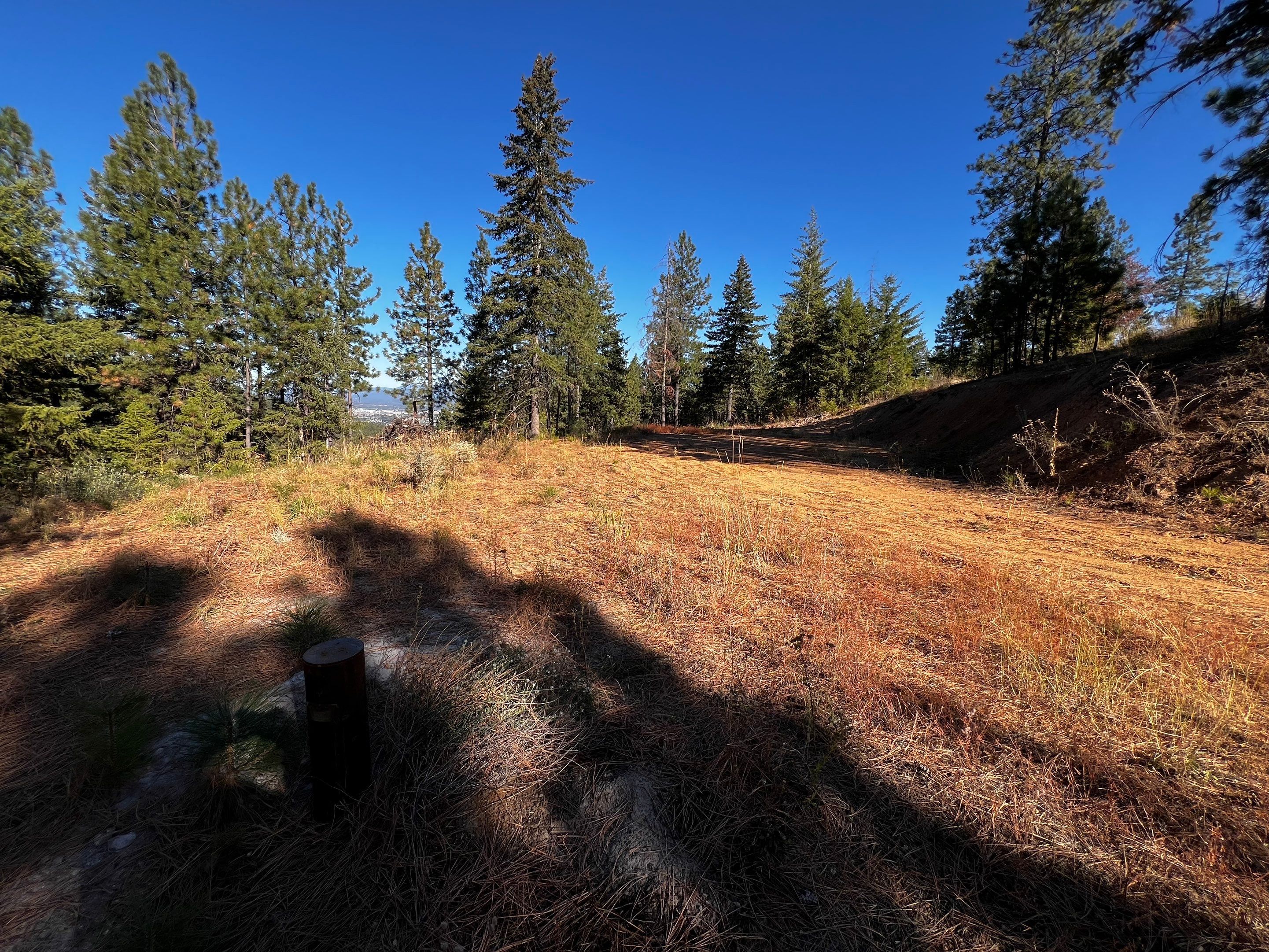 The Tamarack Vista, Day zero